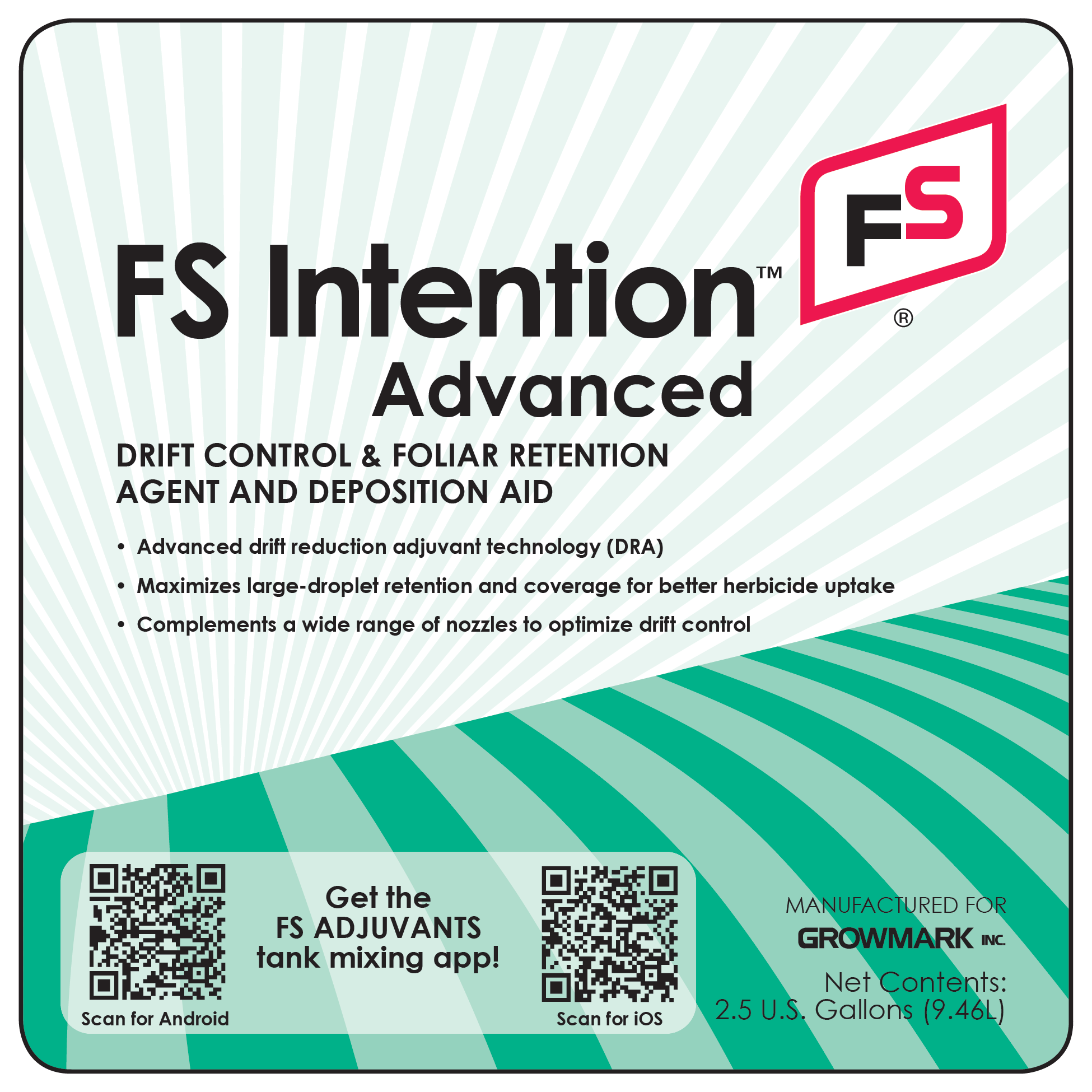 FS Intention - Advanced